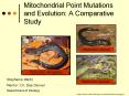 Mitochondrial Point Mutations and Evolution: A Comparative Study PowerPoint PPT Presentation