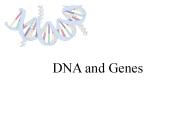 DNA and Genes
