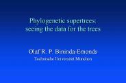 Phylogenetic supertrees: seeing the data for the trees