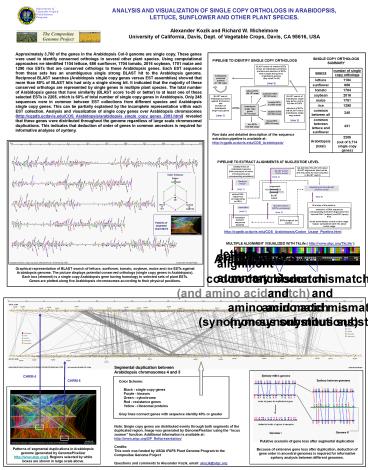 ANALYSIS AND VISUALIZATION OF SINGLE COPY ORTHOLOGS IN ARABIDOPSIS,