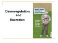 Osmoregulationand PowerPoint PPT Presentation