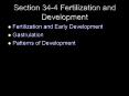 Section 344 Fertilization and Development PowerPoint PPT Presentation