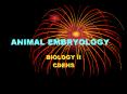 ANIMAL EMBRYOLOGY PowerPoint PPT Presentation