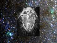 Galactic Archaeology wishy-washy