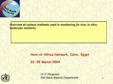 Horn of Africa Network, Cairo, Egypt