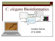 C. elegans Bioinformatics