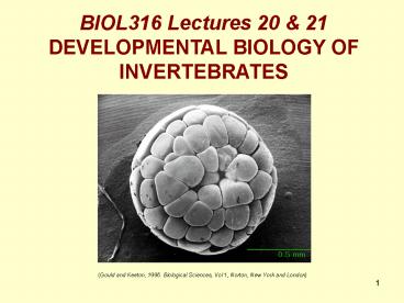 BIOL316 Lectures 20