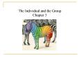 The Individual and the Group PowerPoint PPT Presentation
