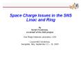 Space Charge Issues in the SNS Linac and Ring PowerPoint PPT Presentation