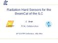 Radiation Hard Sensors for the BeamCal of the ILC PowerPoint PPT Presentation