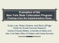 Evaluation of the New York State Collocation Program: Findings from the Implementation Study PowerPoint PPT Presentation