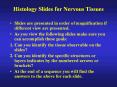 Histology%20Slides%20for%20Nervous%20Tissues PowerPoint PPT Presentation