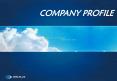COMPANY PROFILE PowerPoint PPT Presentation