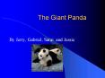 The Giant Panda PowerPoint PPT Presentation