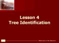 Maple Syrup in the Classroom   by Pete Barnum PowerPoint PPT Presentation