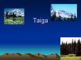 Taiga PowerPoint PPT Presentation