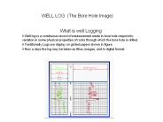 WELL%20LOG%20(The%20Bore%20Hole%20Image)
