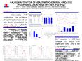 CALCIUM ACTIVATION OF HEART MITOCHONDRIAL OXIDATIVE PHOSPHORYLATION: ROLE OF THE Fo/F1ATPase Paul R. Territo, Vamsi K. Mootha, Stephanie A. French, and Robert S. Balaban Laboratory of Cardiac Energetics, National Heart Lung and Blood Institute, Bethesda PowerPoint PPT Presentation