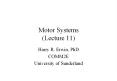 Motor Systems (Lecture 11) PowerPoint PPT Presentation