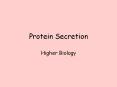 Protein%20Secretion PowerPoint PPT Presentation