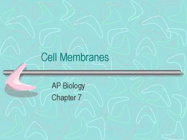 Cell Membranes