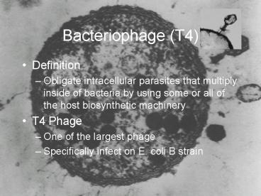 Bacteriophage T4