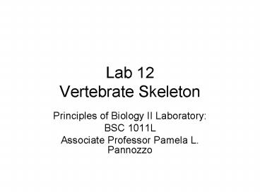 Lab 12 Vertebrate Skeleton