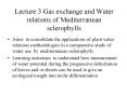 Lecture 3 Gas exchange and Water relations of Mediterranean sclerophylls PowerPoint PPT Presentation