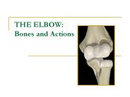 THE%20ELBOW:%20Bones%20and%20Actions