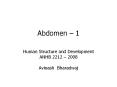 Abdomen  PowerPoint PPT Presentation