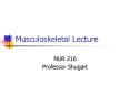 Musculoskeletal Lecture PowerPoint PPT Presentation