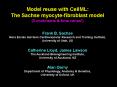 Model reuse with CellML: The Sachse myocytefibroblast model PowerPoint PPT Presentation