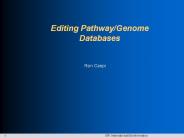 Editing Pathway/Genome Databases