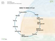 Course:Grain Quality