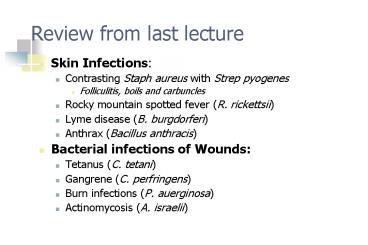 Review from last lecture