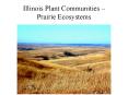 Illinois Plant Communities  PowerPoint PPT Presentation