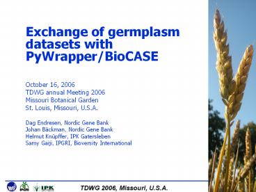 presentation player overlay