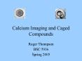 Calcium Imaging and Caged Compounds PowerPoint PPT Presentation