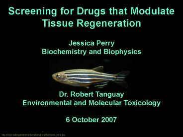 Screening for Drugs that Modulate