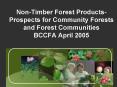NonTimber Forest ProductsProspects for Community Forests and Forest Communities BCCFA April 2005 PowerPoint PPT Presentation