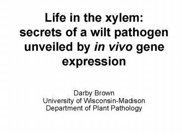 Life in the xylem: