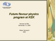 Future flavour physics program at KEK