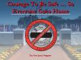 Courage To Be Safe  PowerPoint PPT Presentation