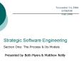 Strategic Software Engineering PowerPoint PPT Presentation