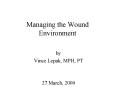 Managing the Wound Environment PowerPoint PPT Presentation