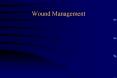 Wound Management PowerPoint PPT Presentation