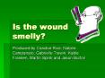 Is the wound smelly PowerPoint PPT Presentation
