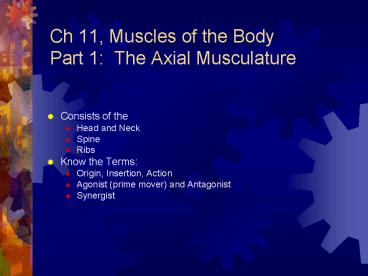 Ch 11, Muscles of the Body Part 1: The Axial Musculature