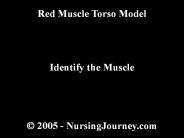 ? 2005 - NursingJourney.com