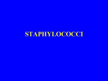 STAPHYLOCOCCI